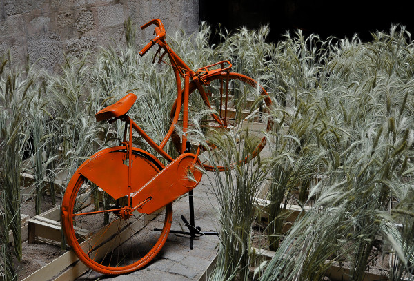 Bicyclette orange